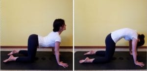 yoga esercizi dolore cervicale